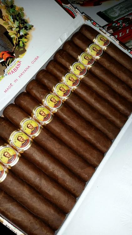 Bolivar Royal Corona.jpg