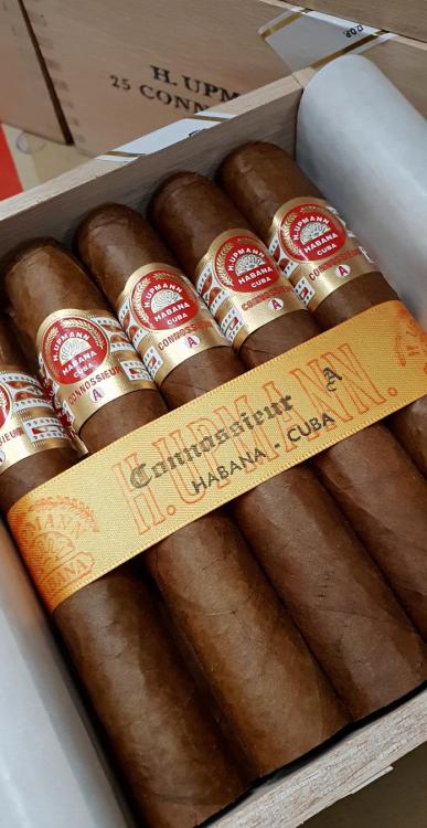 H. Upmann connoisseur A PSP OCT 18.jpg