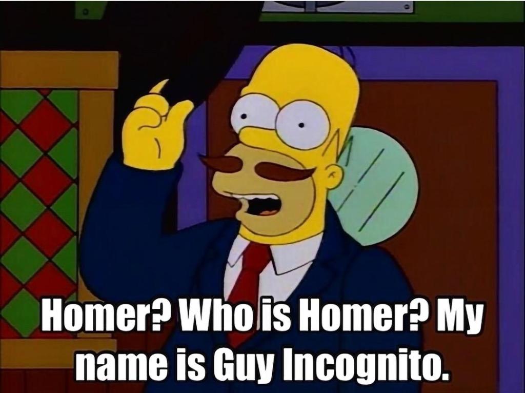 Homer Incognito.jpeg