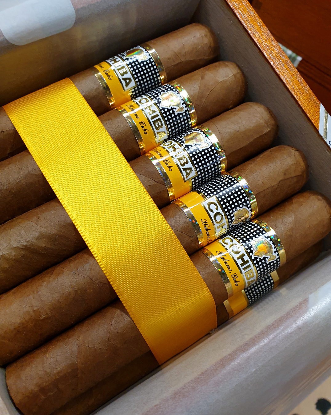 Cohiba Robusto PSP AHO 19.jpg