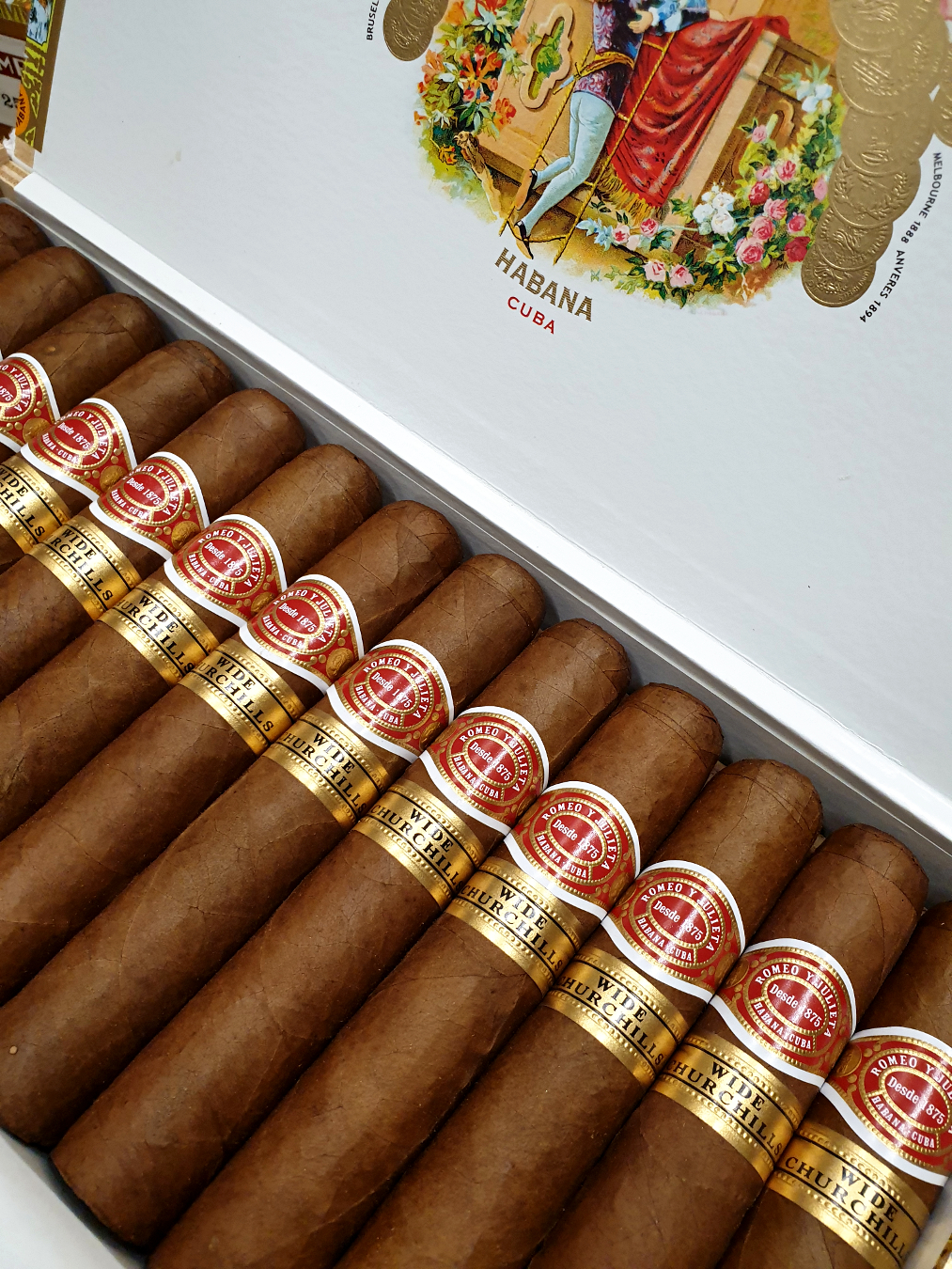 Romeo y Julieta WIde Churchills HQ NOV 19.jpg